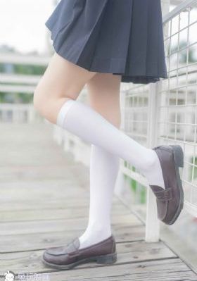白色橄榄树电视剧